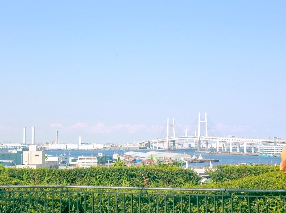 港の見える丘公園の画像