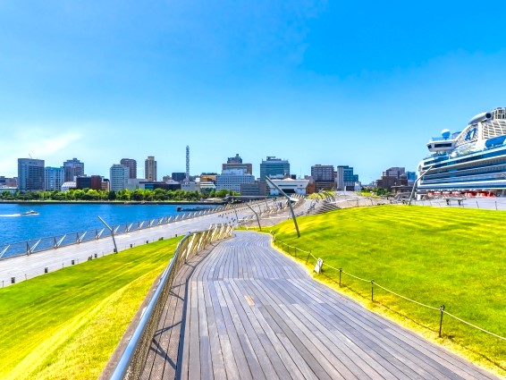 横浜の散歩コースの穴場の画像２
