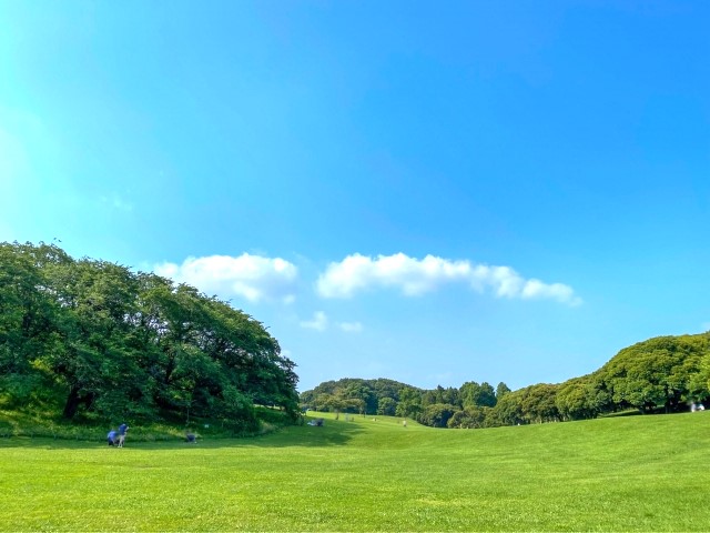 根岸森林公園の画像