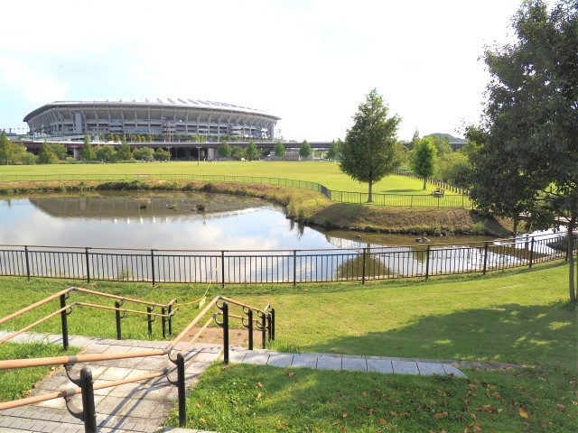 新横浜公園の画像