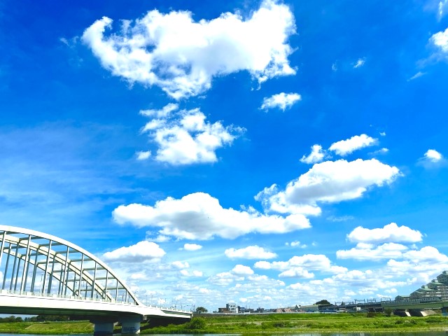 多摩川の画像