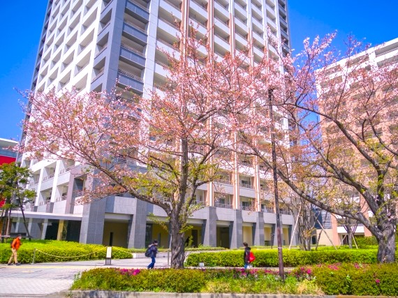 川崎の街の画像１